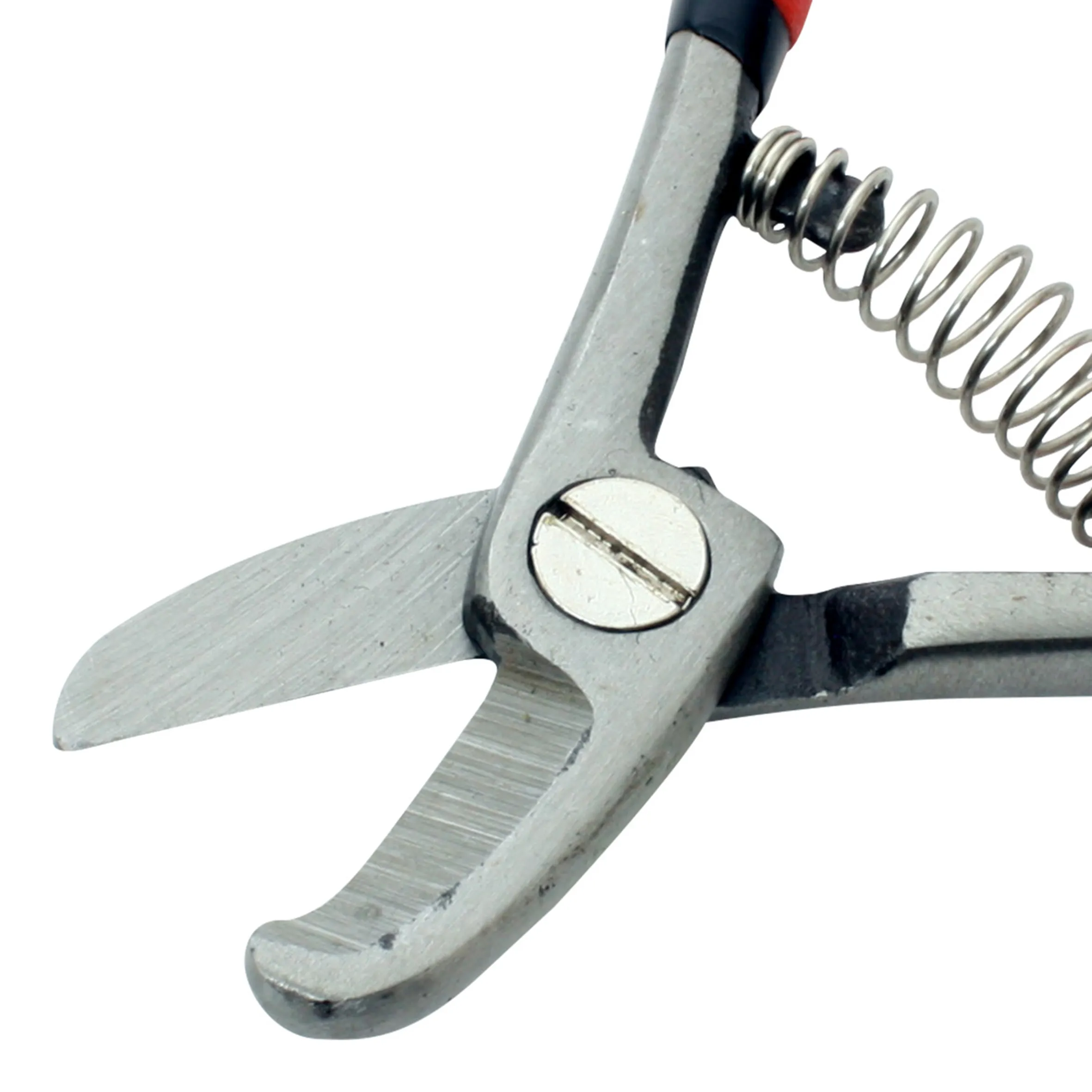 Tijera para Podar Aguacatera 5-1/2" - Imagen 3