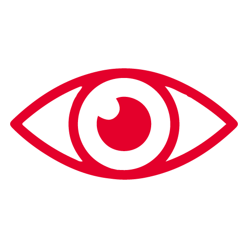 Icono vision